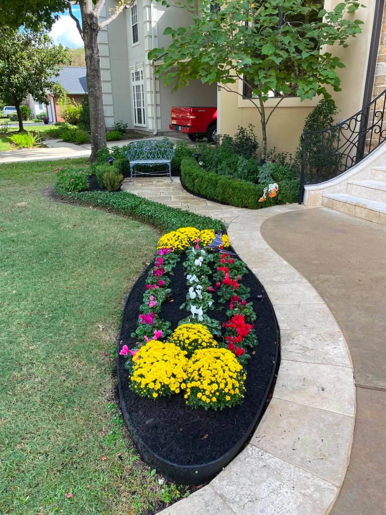 Tall plants and trees installed in a residential landscape